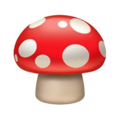 image-Mushroom Finance